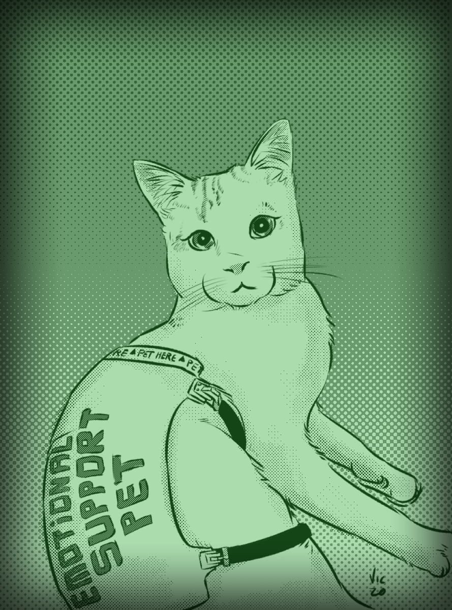 Nyra